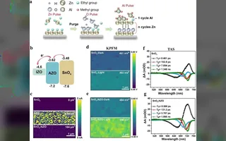 33.25% Efficiency, 96% MPPT Retention After 1000 Hours: All-ALD SnOx/AZO Bilayer Suppresses Interface Reactions in Perovskite/Silicon Tandems
