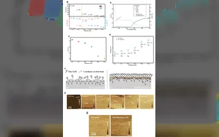 Pin mặt trời song song Perovskite/Silicon: Lớp kết nối ITO 8nm đạt hiệu suất 31,80%