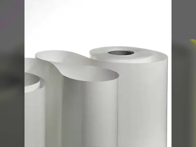 PV Backsheet for Solar Modules – TPT/TPE Protective Film