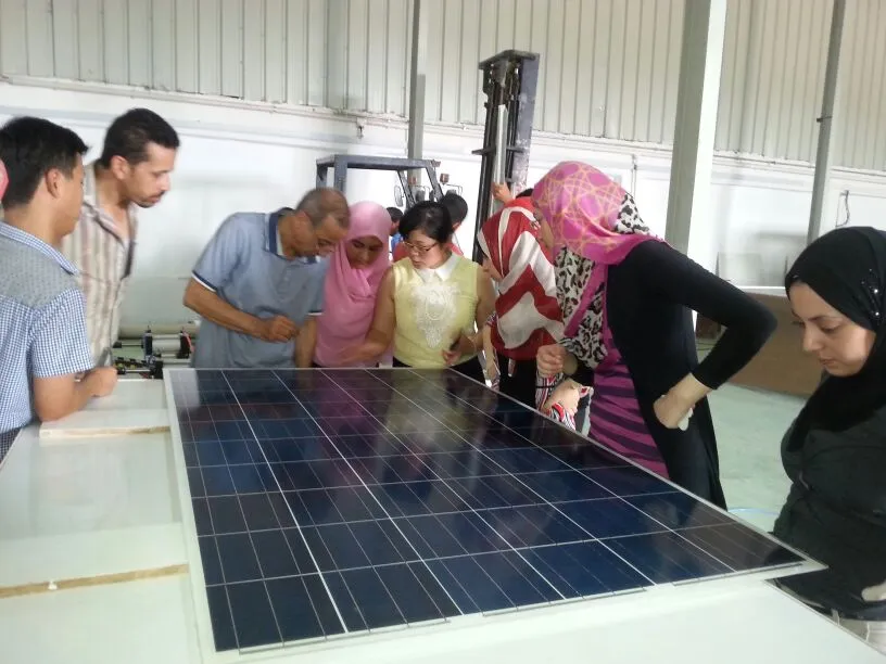 /static/upload/image/20260414/2026041419071111.webp IMG_7131.JPG