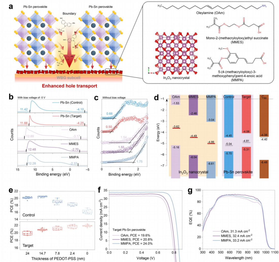 Percée d'efficacité certifiée de 26,2 % dans les grands modules tandem tout-perovskite : la jonction de recombinaison tunnel en nanocristaux d'In₂O₃ image