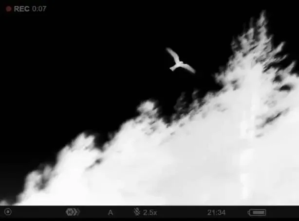 Thermal Imaging for Solar Panels: How SESPNet Catches Every Hotspot in Infrared Thermal Imaging for Solar Panels: How SESPNet Catches Every Hotspot in Infrared