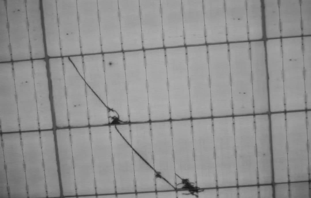 Why Does Electrifying a Solar Panel Reveal Hidden Cell Cracks? Why Does Electrifying a Solar Panel Reveal Hidden Cell Cracks?
