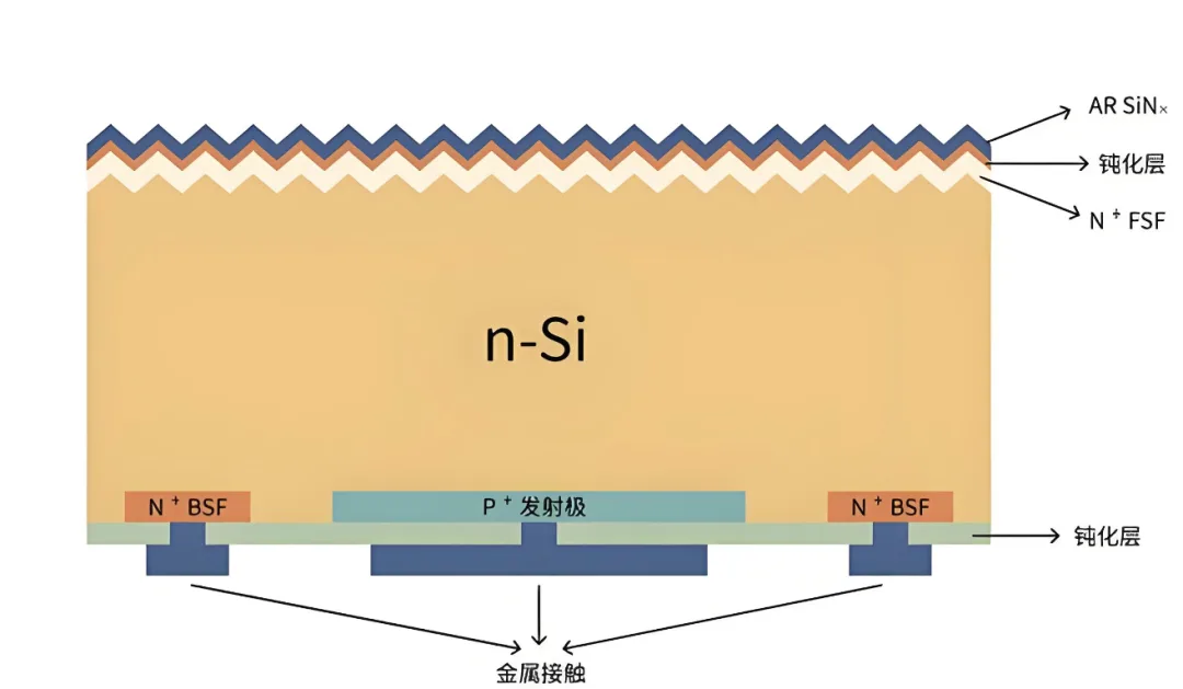 Figure 1: BC cell structure BC cell structure diagram