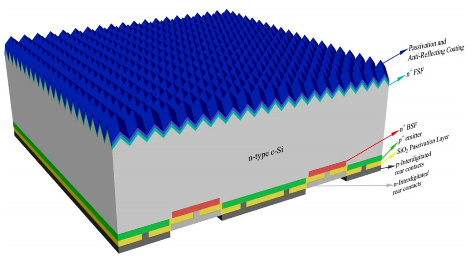 n-type IBC cell cross section