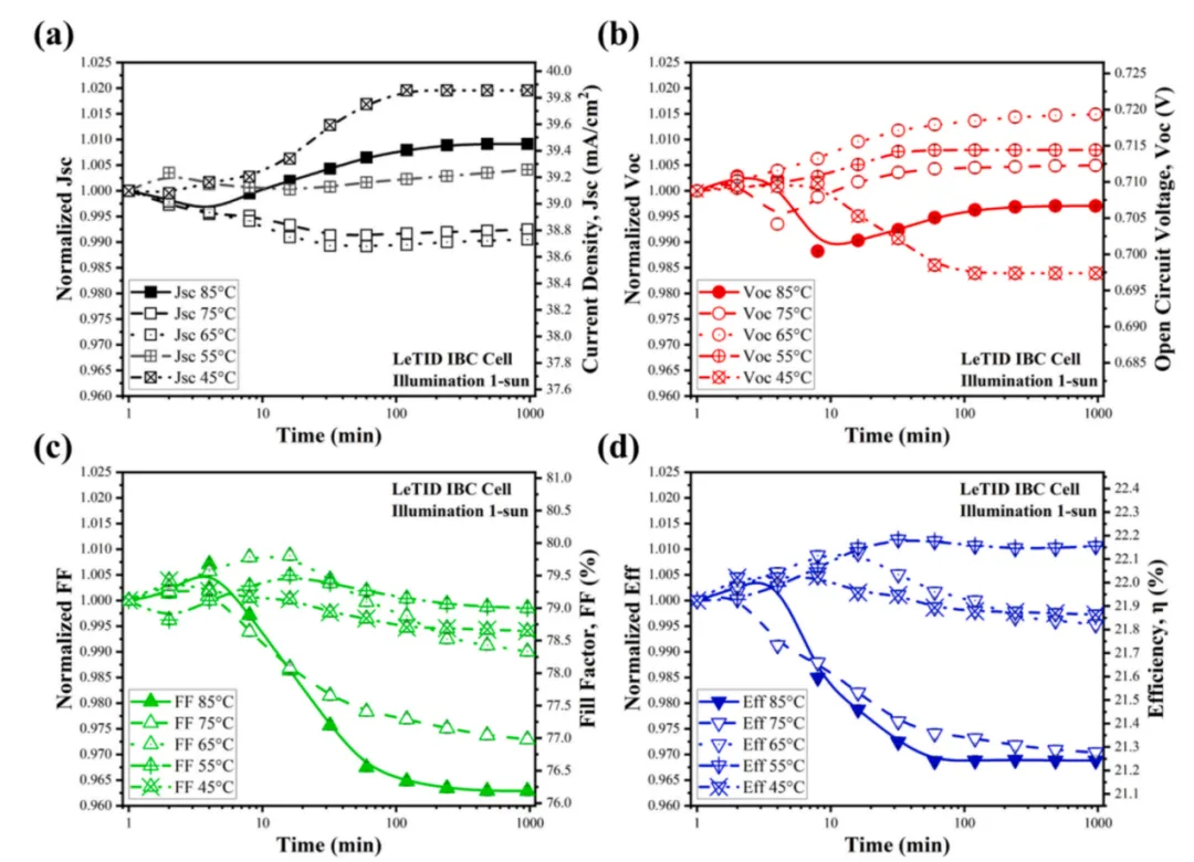 LeTID degradation dynamics