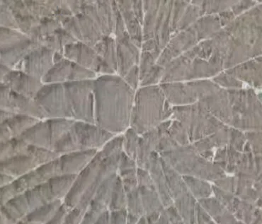 How to Tell If Semi-Tempered Glass Cracking in Dual-Glass Modules Is Spontaneous Breakage