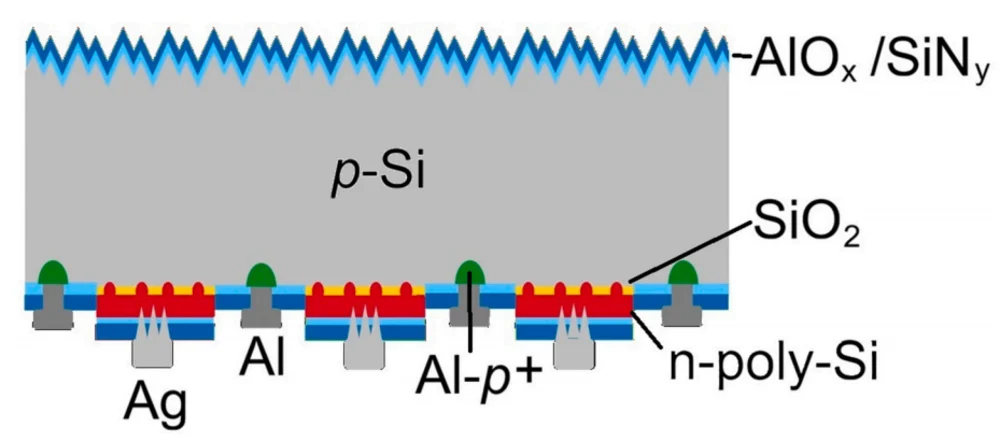 POLO-IBC cell cross section showing p-type silicon, SiOx, n-poly-Si and aluminium and silver contacts