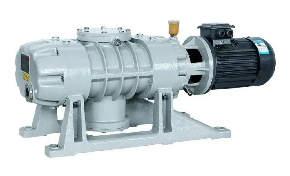 Roots vacuum pump with drive motor on a mounting frame
