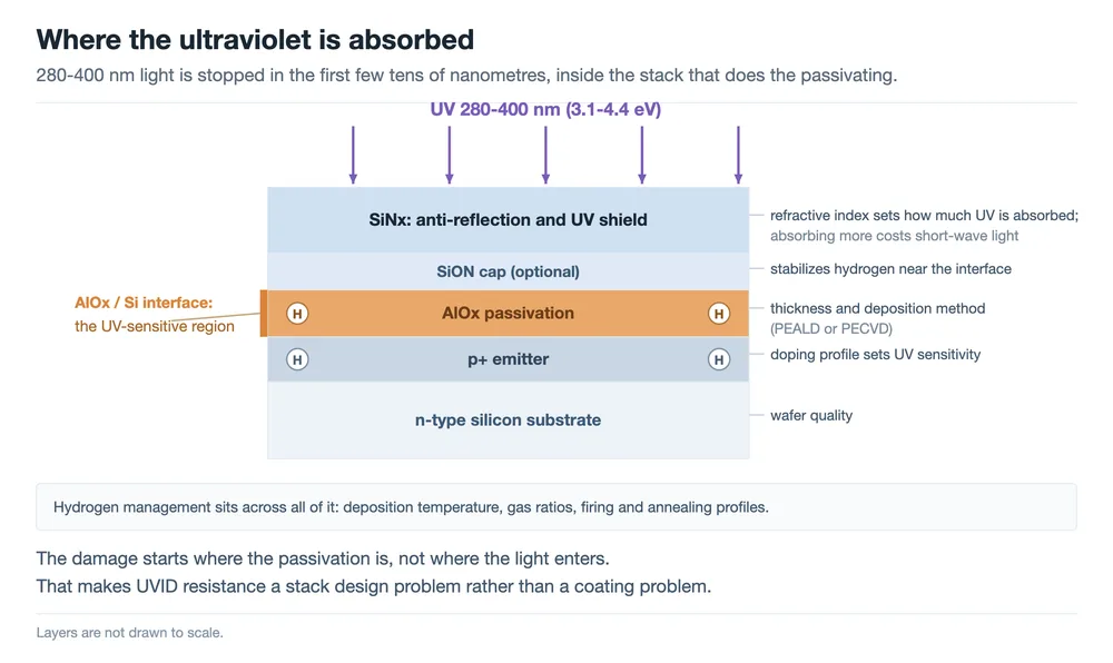 Cross-section of a TOPCon front stack showing where UV is absorbed and which layer each UVID mitigation lever acts on Diagram of a TOPCon front side with SiNx, an optional SiON cap, AlOx passivation, a p+ emitter and an n-type silicon substrate, with UV arrows entering the stack and labels for the refractive index, hydrogen behaviour, AlOx thickness and deposition method, emitter doping and wafer quality